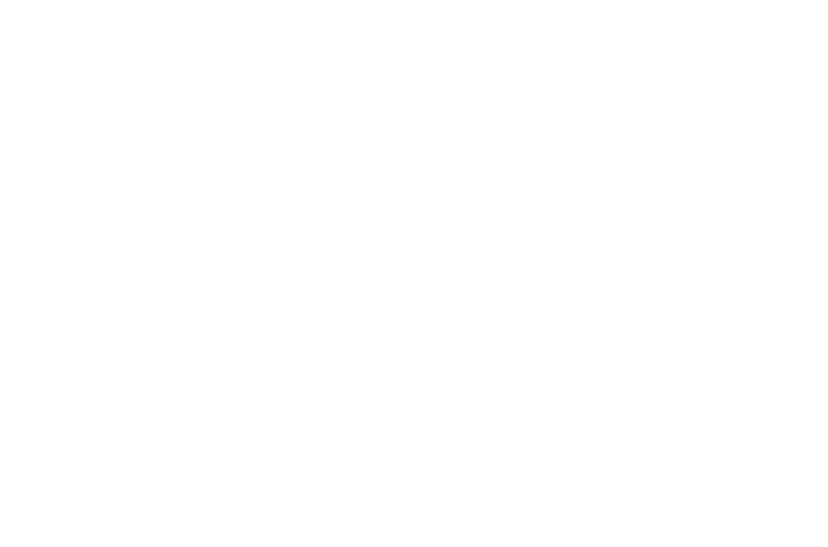 Salon and Academy Lord